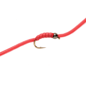 WORMS