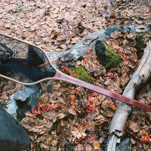 RUSHTON Brian Chan Catch & Release Net