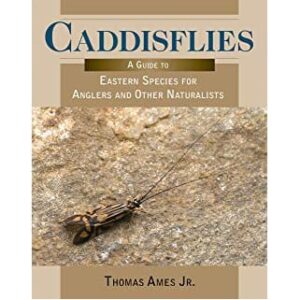 Caddis Flies - Thomas Ames JR