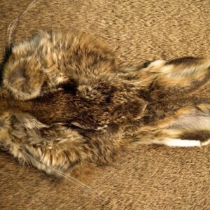 HARELINE Hare's mask #1 grade
