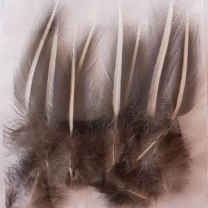 COOKSHILL Vulterine feathers/skins