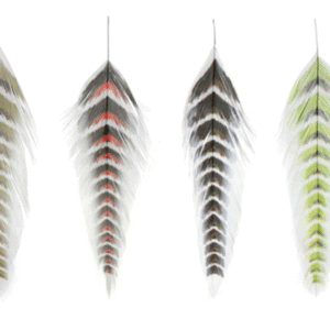 MFC - Galloup's Fish Feathers - Grizzled