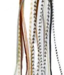 WHITING 100 Packs