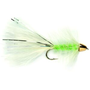 Golden Bullet Cats Whisker