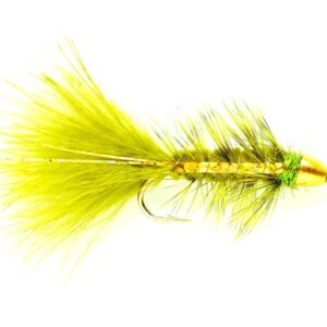 Golden Bullet Olive Flash