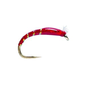 3D Glass Blood Chironomid