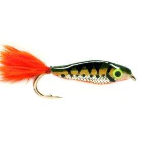 Glass Perch fry