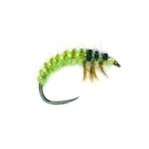 Oliver Edwards Ryacophila Larva Barbless