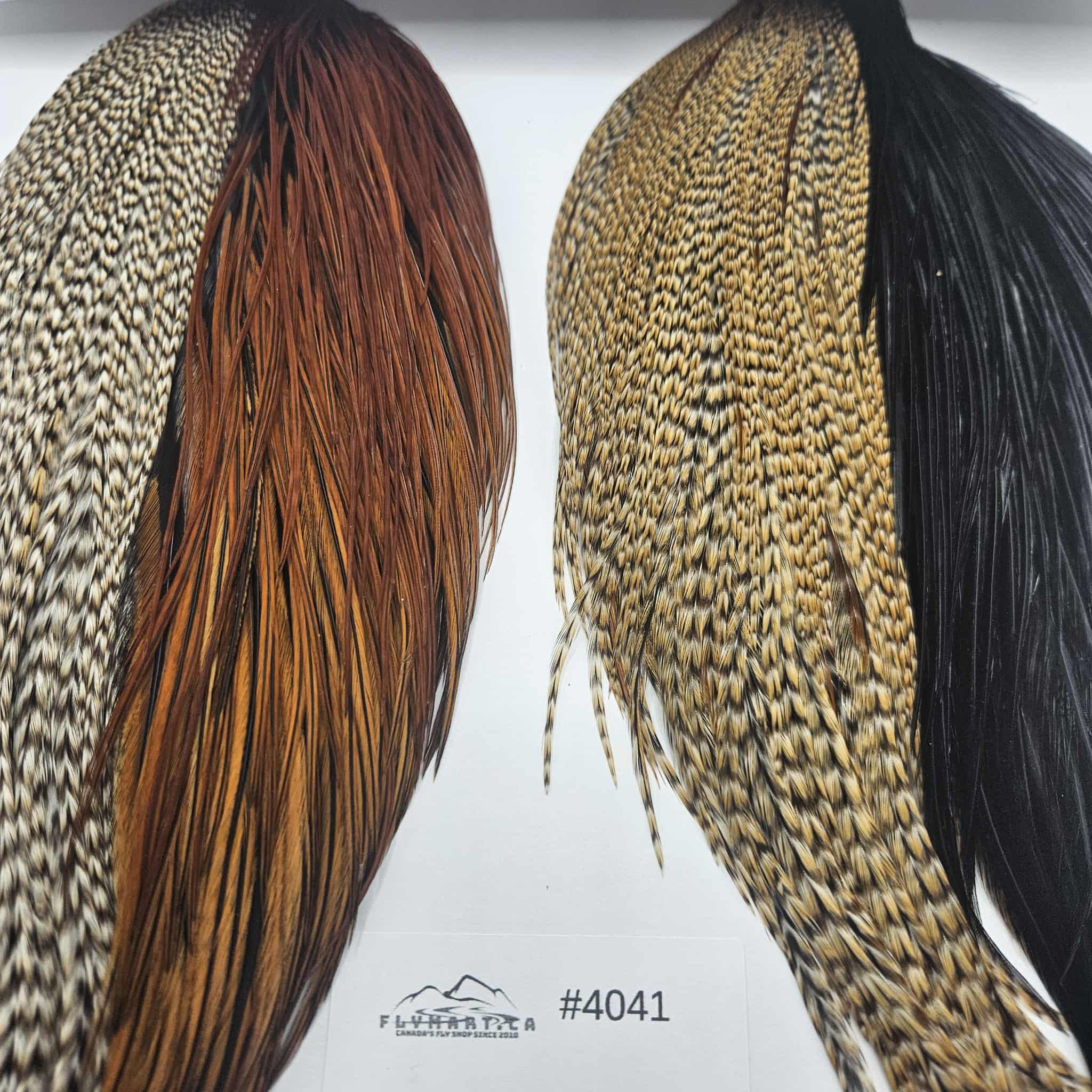 WHITING Combo Intro Hackle Pack CAPE - flymart