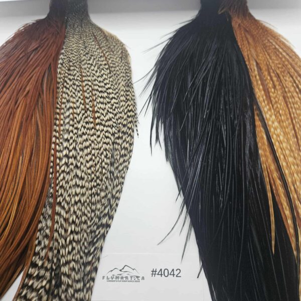 WHITING Combo Intro Hackle Pack CAPE - flymart