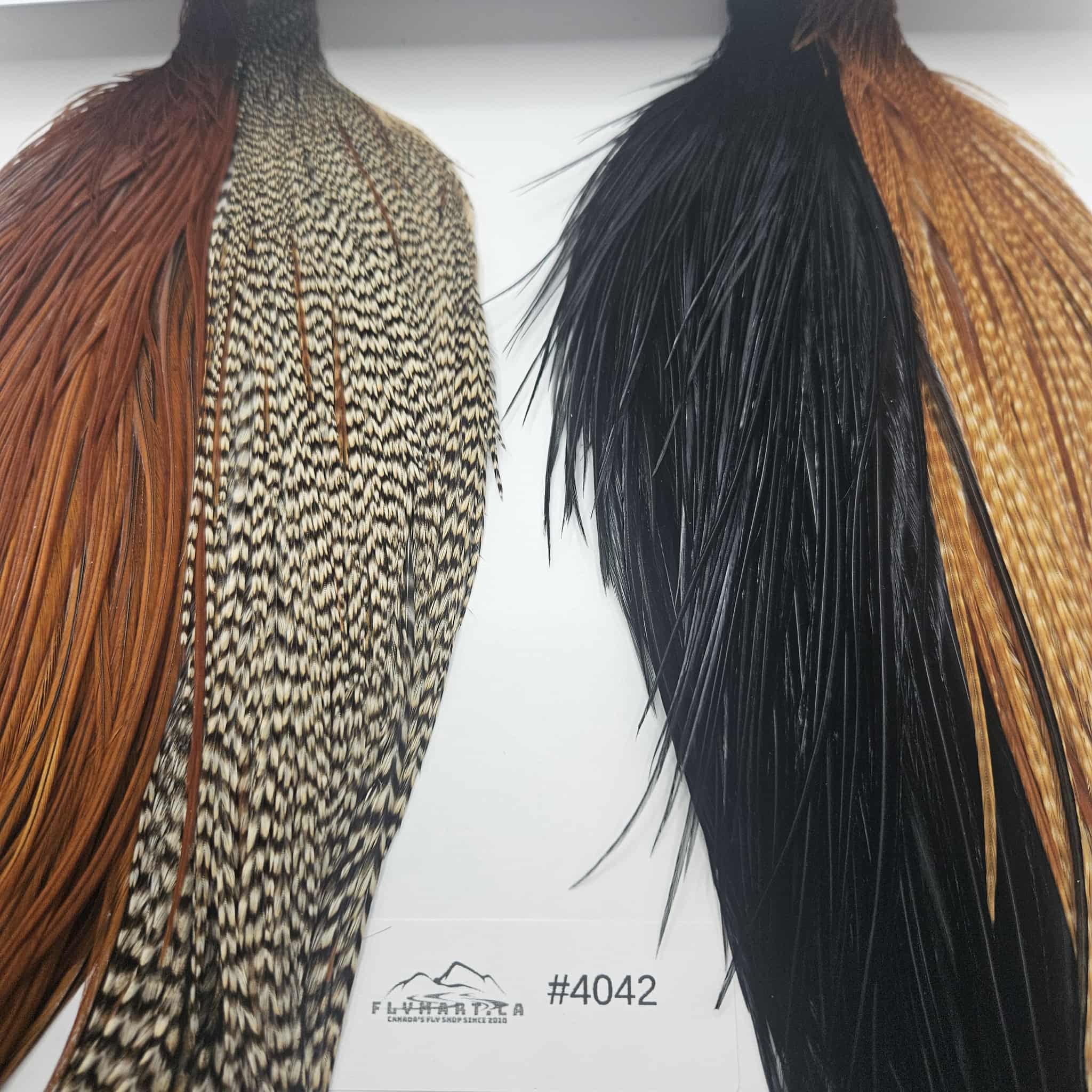 WHITING Combo Intro Hackle Pack CAPE - flymart