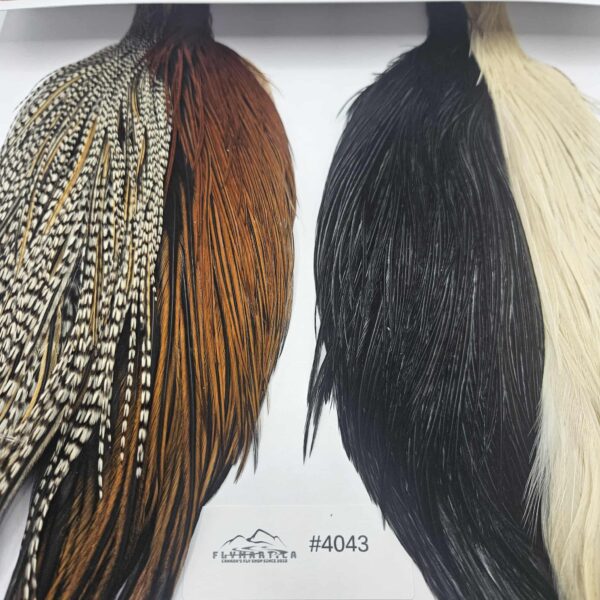 WHITING Combo Intro Hackle Pack CAPE - flymart