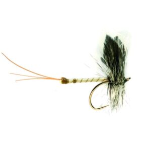 Fly line May fly
