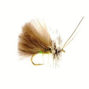 High Rider CDC Olive
