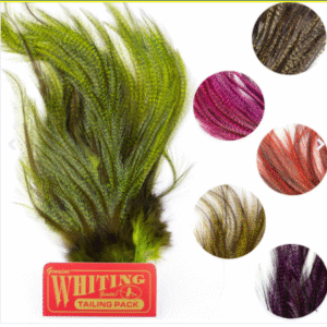 WHITING CDL EURO NYMPH/MAYFLY TAILING PACK