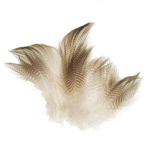 WAPSI Gadwall Barred Flank 12 Hand Picked