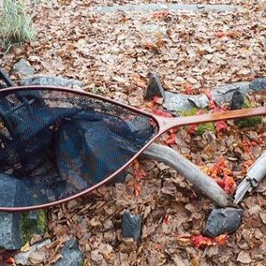 RUSHTON The Babine Net