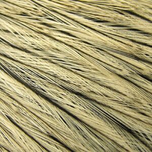 WHITING American Rooster Cape Badger