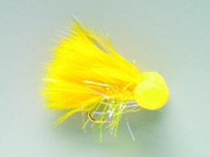 Booby Sunburst SIZE 10 (A1N)