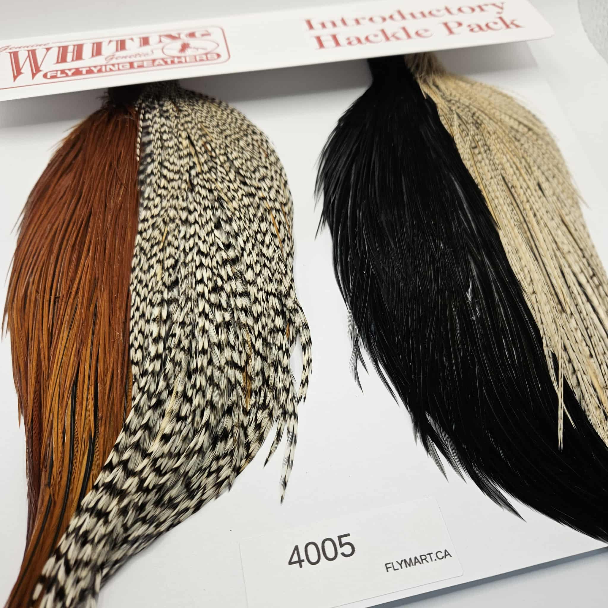 WHITING Combo Intro Hackle Pack CAPE - flymart