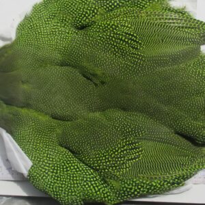 WHITING Guinea Fowl Large Skins