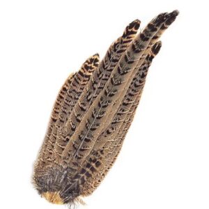 VENIARD Hen Pheasant Complete Tail
