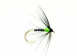 Hot Spot Spider Green