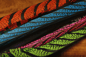 Lady Amherst Tail Feathers