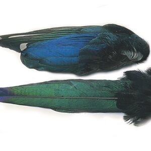 VENIARD Magpie Whole Wings