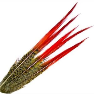 VENIARD Golden Pheasant Red Spears