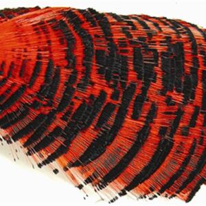 WAPSI Golden Pheasant Tippet Section