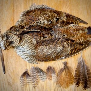 VENIARD Woodcock Whole Skin