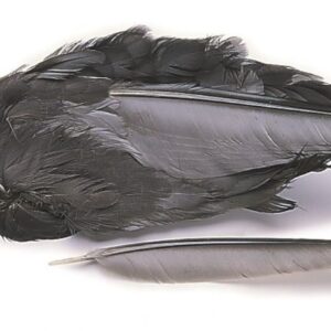 VENIARD Coot Whole Wings