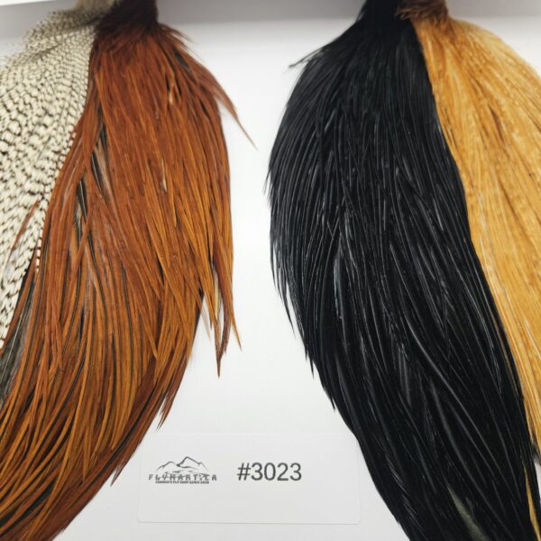 WHITING Combo Intro Hackle Pack CAPE - flymart