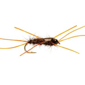 Bassetts Stonefly