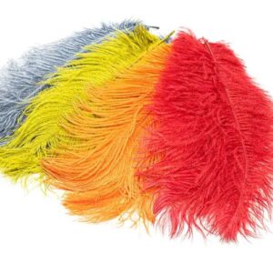 NATURE'S SPIRIT Ostrich Plumes